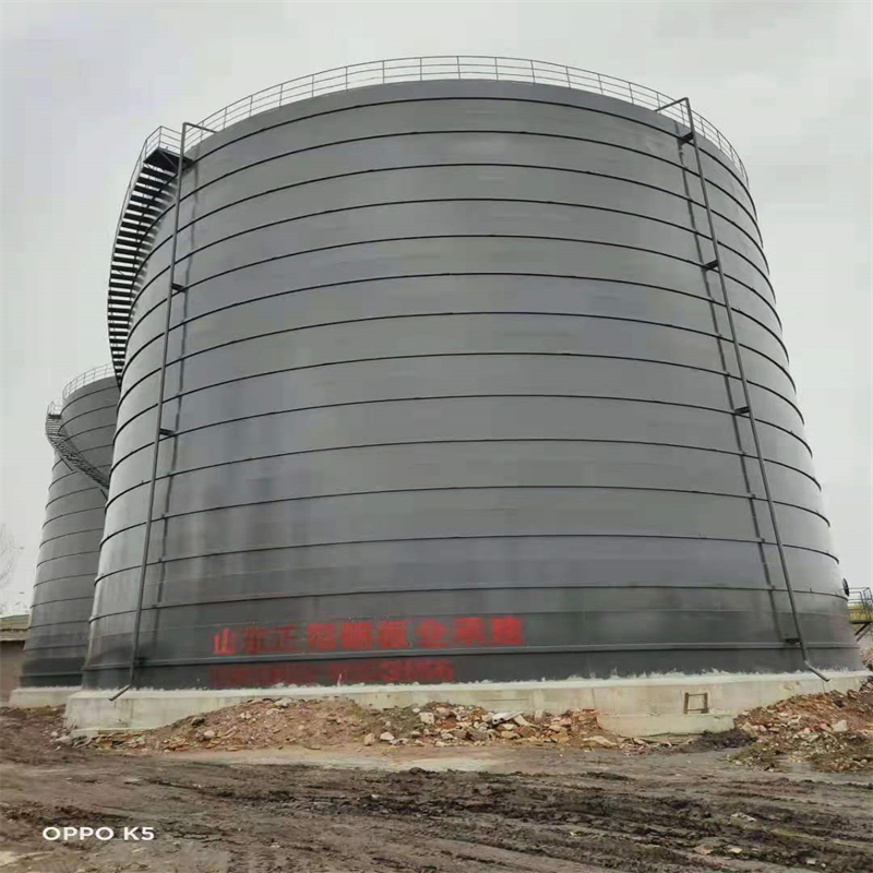 盐边3万吨大型钢板库