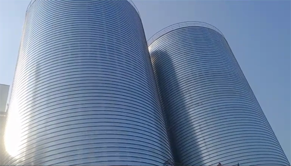 盐边2座混凝土高架卷板仓